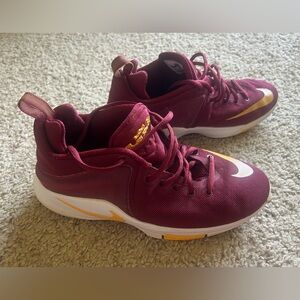 Nike LeBron Basketball Shoes